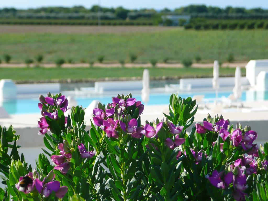 Masseria Bagnara Resort & Spa Марина-ді-Ліццано Екстер'єр фото