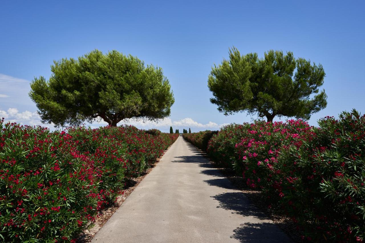 Masseria Bagnara Resort & Spa Марина-ді-Ліццано Екстер'єр фото